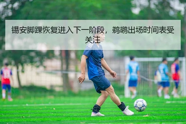 锡安脚踝恢复进入下一阶段，鹈鹕出场时间表受关注